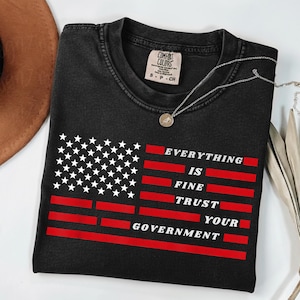 Everything Is Fine Trust Your Government PNG, Everything Is Fine Political PNG, Trust Your Government Conspiracy Digital Download shirt
