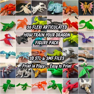 Flexi Articulated How Train Your Dragon-bundel 36 Flexi Figure 3D STL- en 3MF-bestanden