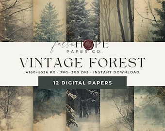 Puede incluir: Una colección de 12 papeles digitales con temática de bosque vintage. Los papeles presentan imágenes de árboles nevados, bosques brumosos y texturas envejecidas. El texto en la imagen dice "falseHOPE PAPER CO. VINTAGE FOREST 4160x5536 PX JPG 300 DPI INSTANT DOWNLOAD 12 DIGITAL PAPERS."