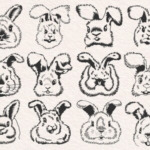 Rabbit SVG, bunny svg, angora rabbit Breed, hare, cute animal, face, farm, clipart, vector