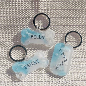 May include: Three personalized pet ID tags. Two are bone-shaped, and one is rectangular. Each tag is light blue and white with a name in white lettering. All tags have a black keyring attached.