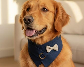 Halstuch für Hunde, Halstuch für Hunde, Halstuch für Hunde, Halstuch, Halstuch, Halstuch, Halstuch, Halstuch, Halstuch, Halstuch, Halstuch, Halstuch, Halstuch, Halstuch