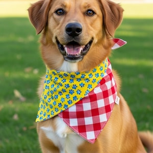 May include: A smiling brown dog wearing a yellow bandana with blue paw prints and a red and white checkered bandana. The dog is sitting on green grass.