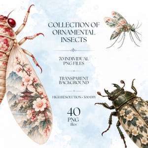 May include: A digital collection of ornamental insects featuring a large cicada with cherry blossom and pagoda wing patterns, a mosquito, and a beetle with floral motifs. Text reads: COLLECTION OF ORNAMENTAL INSECTS, 70 INDIVIDUAL PNG FILES, TRANSPARENT BACKGROUND, HIGH RESOLUTION 300 DPI, 40 PNG files.
