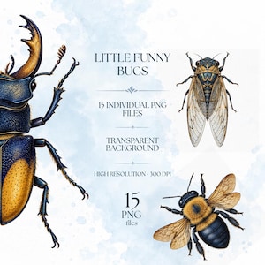 Roliga insekter PNG Clipart-paket, 15 vintage insektsillustrationer, realistisk skalbagge, bi och cikada, transparent bakgrund, 300 DPI