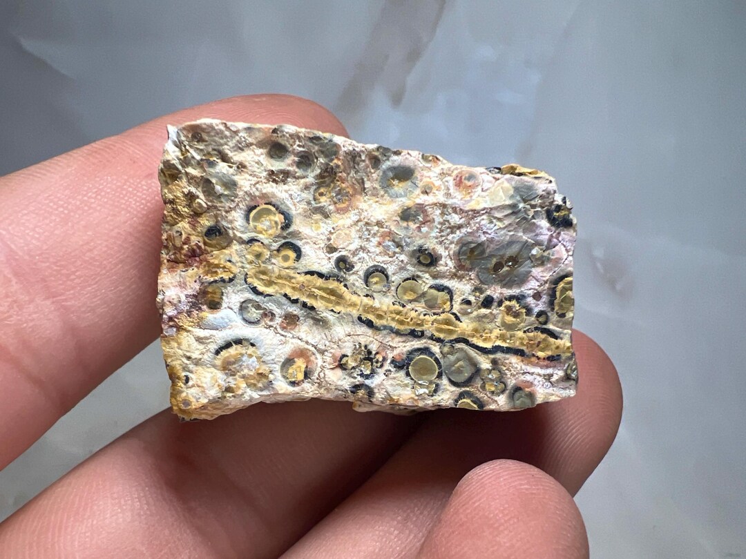 Raw Leopard Jasper - Orbicular Rhyolite Specimen - Natural Spotted ...