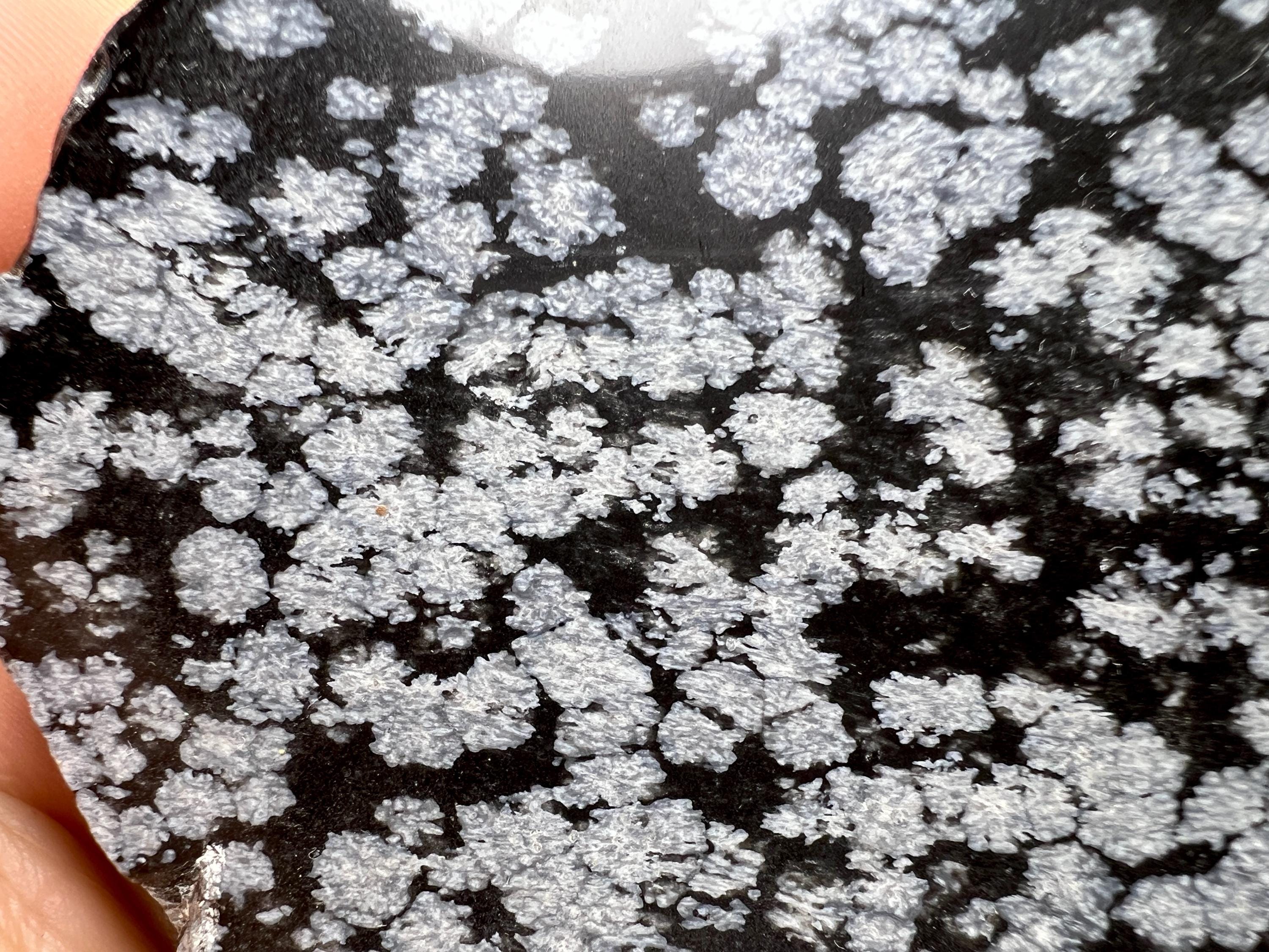 Snowflake Obsidian Pattern Snowflake Obsidian Slab - Beautiful Natural Patterns - Unique Mineral ...