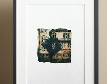 Polaroid Emulsion Lift on A5 (14.8 x 21 cm) watercolor paper "Climbing Plant"
