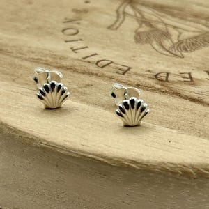 May include: A pair of silver seashell stud earrings. The earrings are small, with a detailed shell design. They are displayed on a wooden surface with the words "LIMITED EDITION" partially visible.