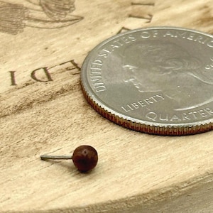 May include: A small, round, dark brown push pin with a silver pin, next to a United States quarter coin. The push pin is on a light brown wooden surface. The quarter coin is silver with a detailed edge.