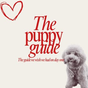 Op de afbeelding: Een lichtbeige afbeelding met een rood hart en de woorden "The puppy guide" in een gestileerd lettertype. Onder de titel staat de tekst "The guide we wish we had on day one." Een grijze hond staat in de rechter benedenhoek.