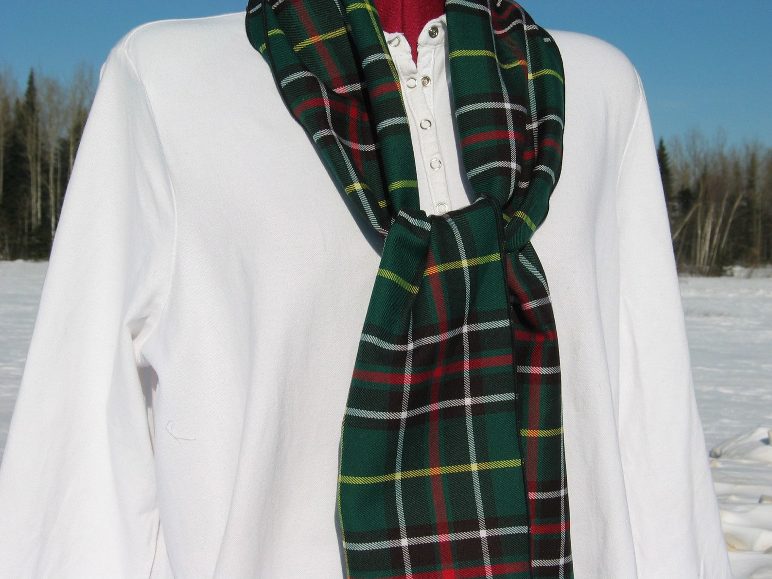 Newfoundland Tartan Green Plaid Women's Shorts