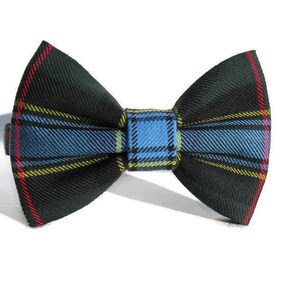 Nœud papillon labrador tartan, graduation vert et bleu