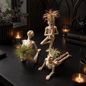 Könnte beinhalten: Drei cremefarbene Skelettfiguren in verschiedenen Yoga-Posen, wobei jeder Schädel oder Torsobereich ausgehöhlt ist und eine kleine grüne oder rosaspitzige Luftpflanze hält. Die Skelette befinden sich in sitzenden, stehenden und liegenden Yoga-Positionen.