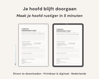 Stop worrying worksheet PDF | Clear your mind in 5 minutes | Printable organize thoughts Dutch