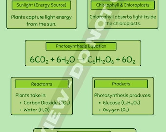 Pôster sobre o Processo de Fotossíntese | Cartaz de Apoio para Aulas de Biologia
