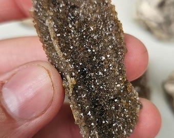 Brilliant petrified wood