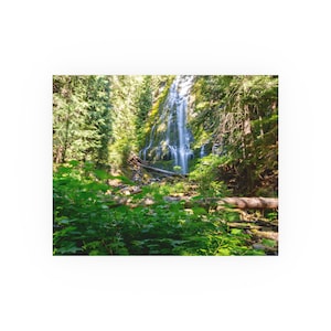 Può includere: Fotografia di una cascata che scende da una scogliera rocciosa, circondata da fitti alberi verdi e fogliame. La luce del sole filtra attraverso gli alberi, illuminando l'acqua e creando una vivace scena naturale.