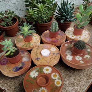 Pode incluir: Uma coleção de pequenas suculentas e cactos em vasos exibidos em bases de madeira decorativas. As bases apresentam flores prensadas e um orifício central para velas ou pequenas plantas. A disposição está sobre uma superfície texturizada.