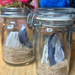 Könnte beinhalten: Zwei Gläser mit Metallverschlüssen, gefüllt mit Sand, einem blau-weißen Stein und einem weißen, korallenartigen Objekt. Ein Glas hat rosa und grüne Verzierungen, das andere eine blaue Verzierung. Die Gläser sind verschlossen.