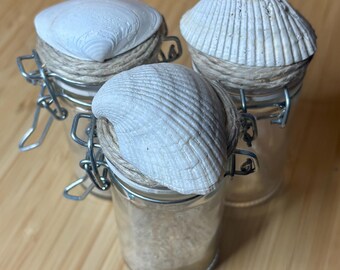 Maine Sea Shell Topped Jar