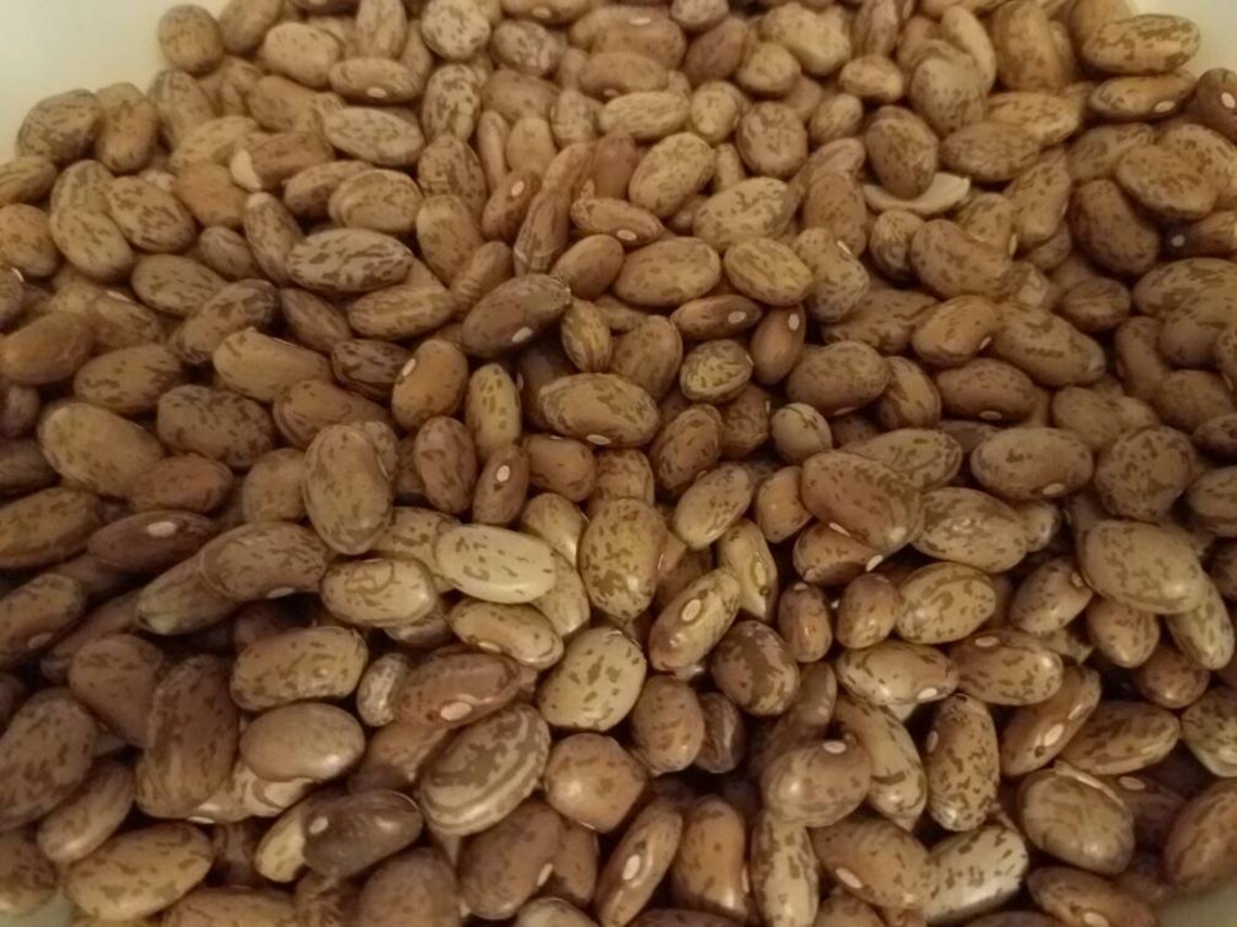 Pinto Beans Grown to Organic Standards. From Our Personal Etsy