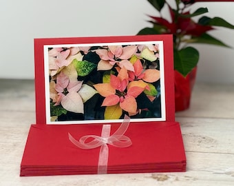 Festive Poinsettia Photo Cards (Blank Inside)