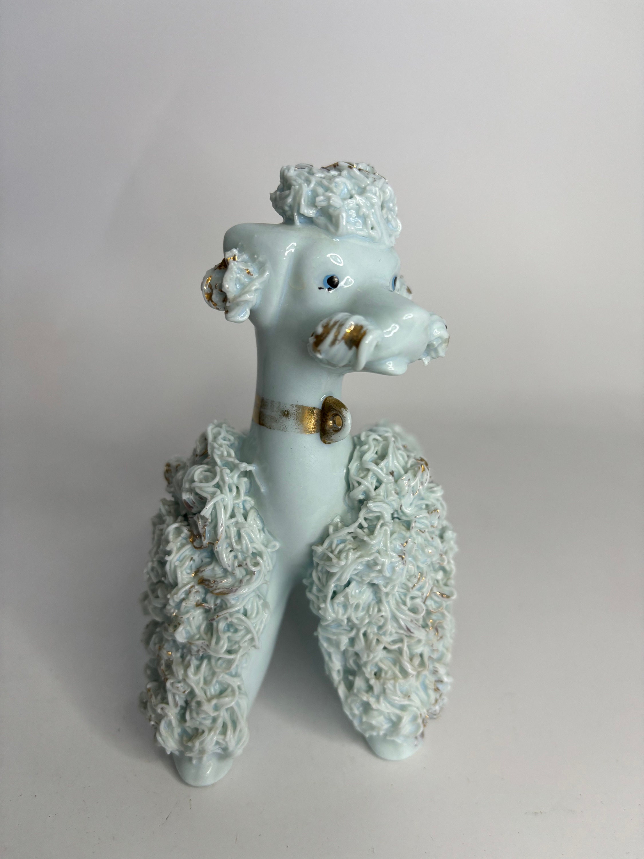 Blue Spaghetti Poodle - Etsy