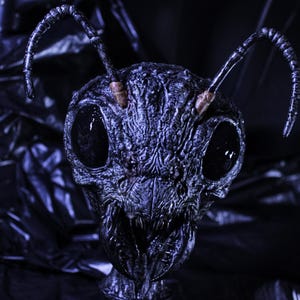 May include: A close-up of a dark, textured ant head sculpture. The sculpture has large, black, oval eyes and detailed mandibles. The antennae are curved and segmented. The overall color is a deep, dark blue.