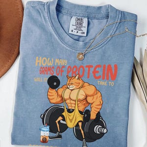 Könnte beinhalten: Ein blaues Kurzarm-T-Shirt mit einer Grafik einer muskulösen orangefarbenen Katze, die eine Langhantel hebt. Der Text lautet: HOW MANY GRAMS OF PROTEIN WILL IT TAKE TO. Das Comfort Colors Etikett zeigt Größe S, 100 % Baumwolle, hergestellt in Honduras.