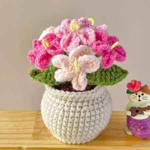 Maceta de crochet, regalo decorativo de escritorio para el hogar o la oficina