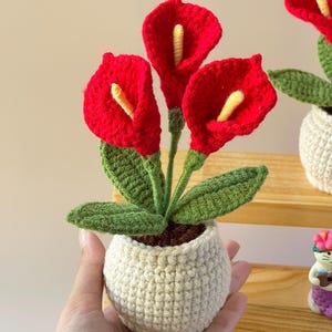 May include: A handmade crochet calla lily plant with three vibrant red flowers, yellow stamens, and green leaves. The plant is in a small, off-white crochet pot, creating a charming, decorative piece.