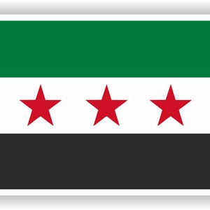 Könnte beinhalten: Eine grün-weiß-schwarze Flagge mit drei roten fünfzackigen Sternen.
