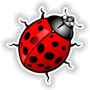 May include: A red ladybug with black spots and a black head. The ladybug has six legs and is on a white background.