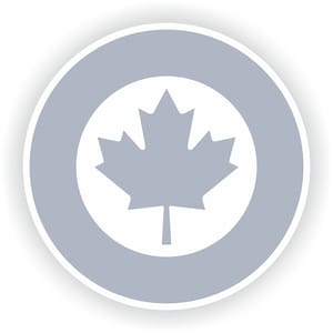 Canada RCAF low visibility Roundel Military Sticker for Laptop Book Fridge Guitar Motorcycle Helmet ToolBox Door PC Boat