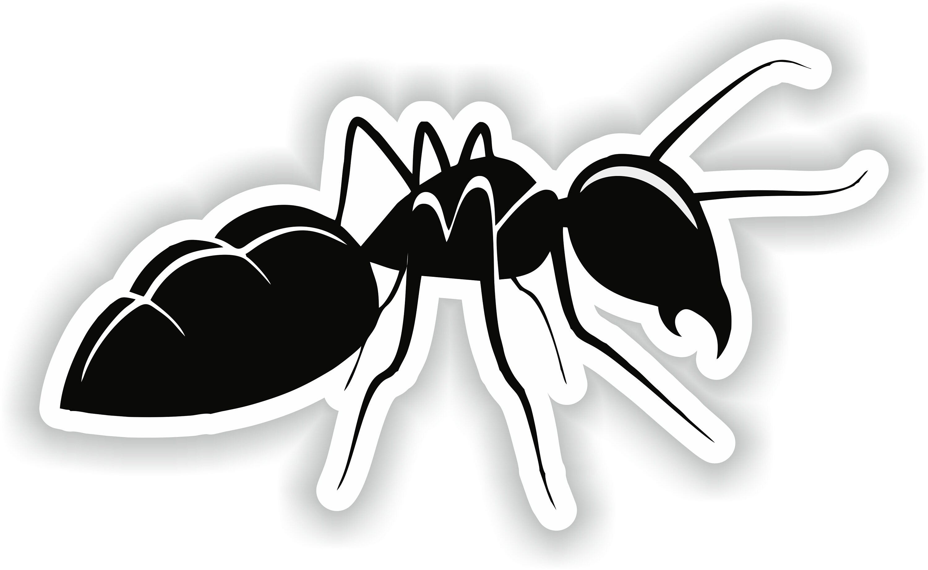 Ant - Digital File Download - svg, png, eps, jpg
