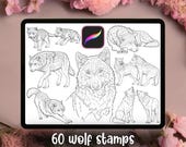 Item uit deze shop