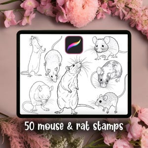 May include: A digital tablet showing 50 mouse and rat stamps. The stamps are black and white line drawings of various mice and rats in different poses. The tablet also shows the Procreate app icon. Text at the bottom reads "50 mouse & rat stamps."