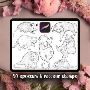 Könnte beinhalten: Digitale Illustration auf einem Tablet mit Schwarz-Weiß-Zeichnungen von Opossums und Waschbären. Das Bild enthält den Text "50 Opossum & Waschbär Stempel". Der Hintergrund ist ein zartes Rosa mit rosa Blumen.