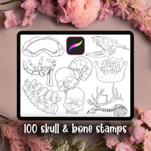 May include: A digital illustration on a tablet featuring various black and white skull and bone drawings. The image includes a jaw, hand bones, skulls, vertebrae, and a deer skeleton. Text at the bottom reads "100 skull & bone stamps".