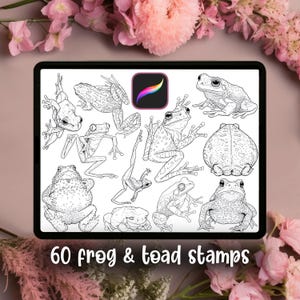 May include: A digital illustration on a tablet featuring 12 detailed line drawings of frogs and toads. The text "60 frog & toad stamps" is displayed at the bottom. The Procreate app icon is visible in the upper right corner.