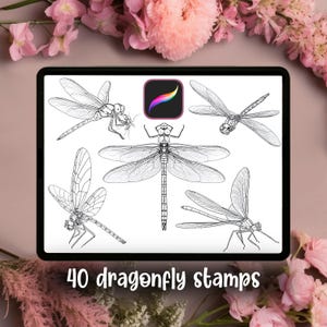 May include: A digital tablet displays five detailed black and white dragonfly illustrations. The tablet also shows the Procreate app icon and the text "40 dragonfly stamps". The image is surrounded by pink flowers.