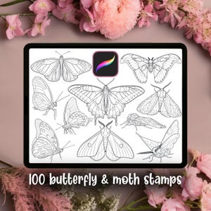 Peut inclure: Illustration numérique en noir et blanc de papillons et de papillons de nuit. L'image est sur une tablette avec le texte "100 butterfly & moth stamps". L'icône de l'application Procreate est visible.