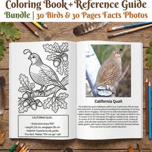 May include: A coloring book and reference guide bundle titled "Birds of California." The open book displays a black and white illustration of a California Quail and a color photograph of the bird. The text includes facts about the bird, including its 25 cm length and 35 cm wingspan.