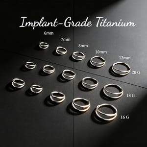 Anillo nasal de doble aro, anillo nasal de titanio de grado implante, aro articulado sin costuras con cierre a presión, aro nasal apilado minimalista (16 g/18 g/20 g, 6-12 mm)