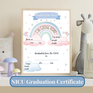 NICU Graduate Certificate Printable, NICU Milestone Keepsake, Nursery Graduation Wall Art, Hospital Discharge Memory, Rainbow