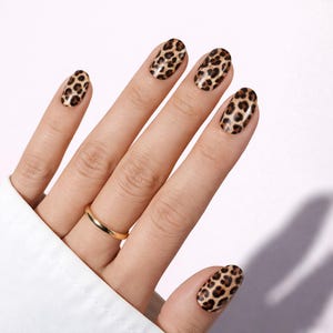 Könnte beinhalten: Ovale Kunstnägel mit Leopardenmuster. Die Nägel sind hellbraun mit dunkelbraunen Flecken. Ein goldener Ring befindet sich am Ringfinger. Die Hand ist vor einem weißen Hintergrund.