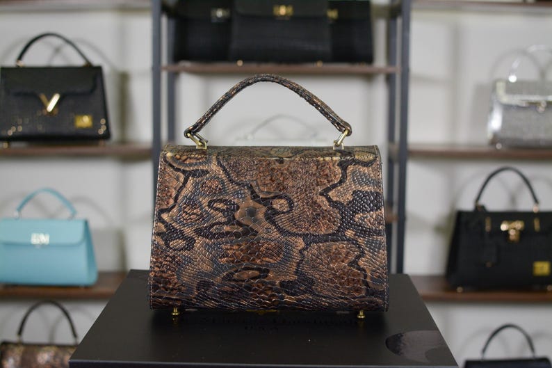 May include: A brown and black snakeskin-patterned handbag with a top handle and gold-coloured hardware. The bag is rectangular with a flap closure. Other handbags are visible on shelves in the background.