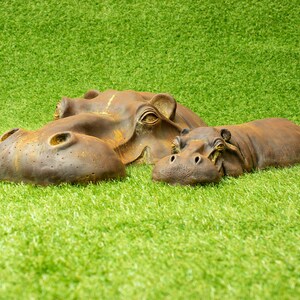 ADHW Hippo Statue Collection Ornaments Home Decoration Outdoor Garden Sculpture Children's Toys Gifts 10.5 X 5 X 7CM ADHW Hippo Statue Collection Ornaments Home Decoration Outdoor Garden Sculpture Children's Toys Gifts 10.5 X 5 X 7CM