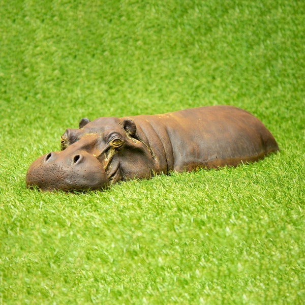 Handmade Rusty Hippo Garden Ornament, Unusual Easter or Mothers Day Gifts for Gardeners, Unique Gardening Birthday Gift, Resin/ Iron - L42cm